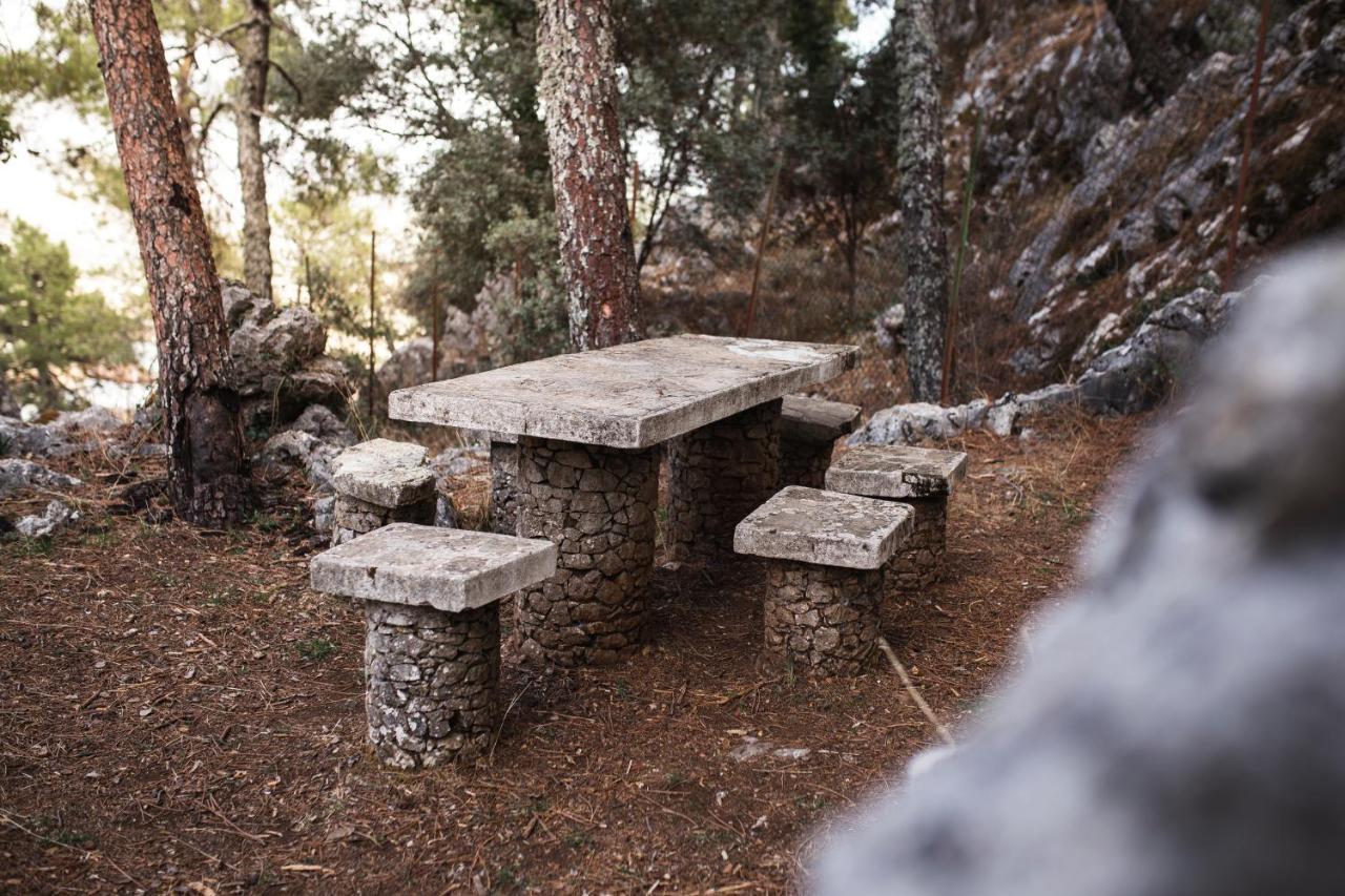 Camping Tajorodillo Grazalema Luaran gambar