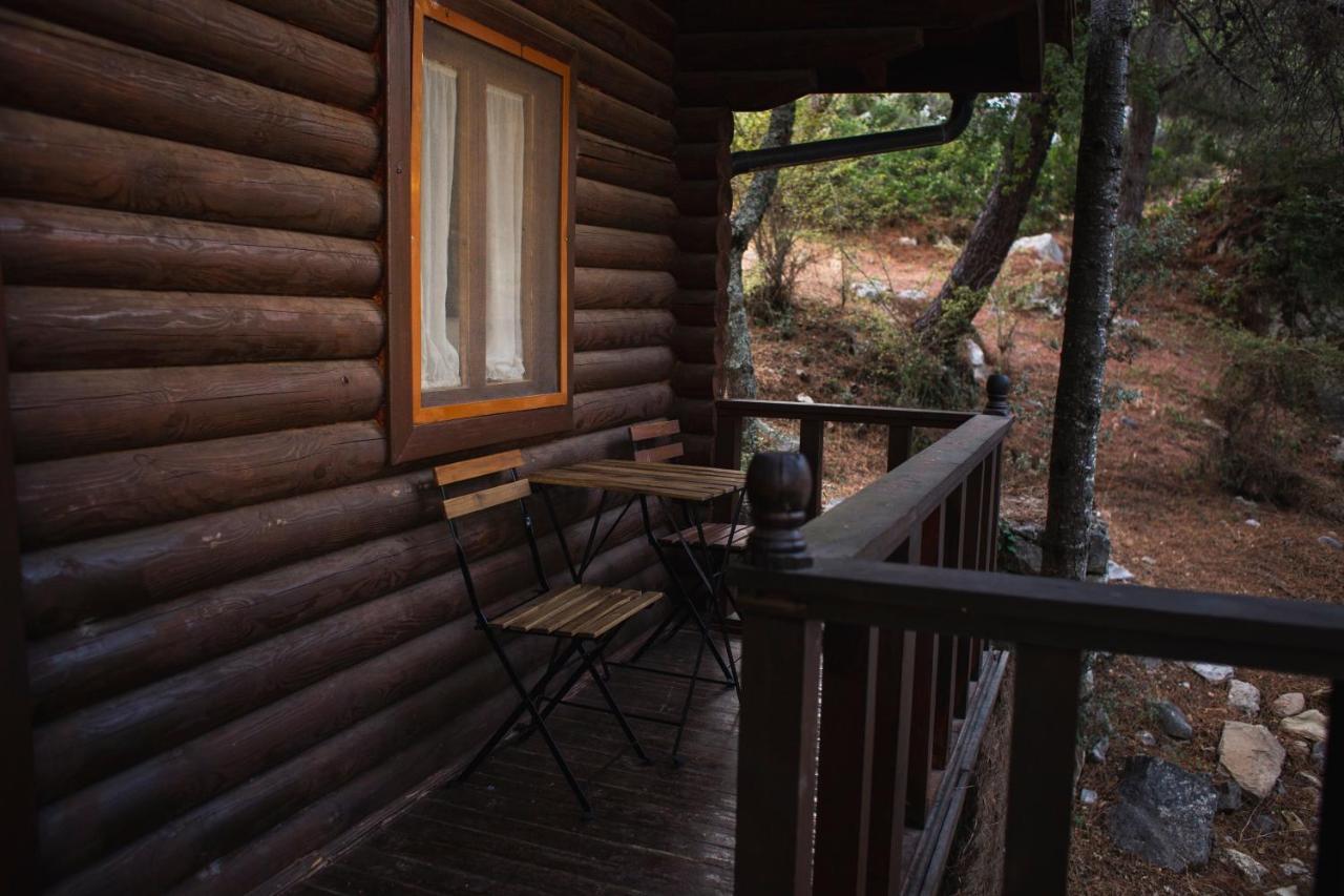 Camping Tajorodillo Grazalema Luaran gambar